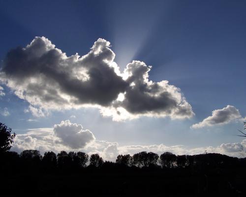 100_8581.JPG
