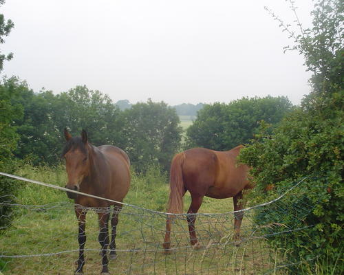 DSC04694