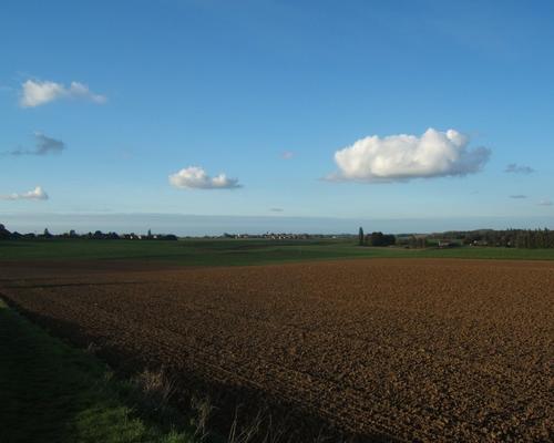 marche de reconnaissance 242.JPG