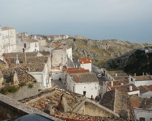 DSC09115