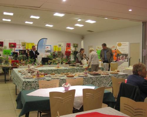 COSINUS 2012 IMG_5219.JPG