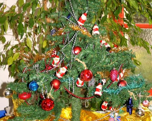 1212_IMG_4933B.JPG