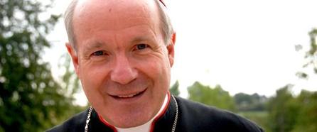 cardinal-christoph-schoi-nborn-600x250-497102_6