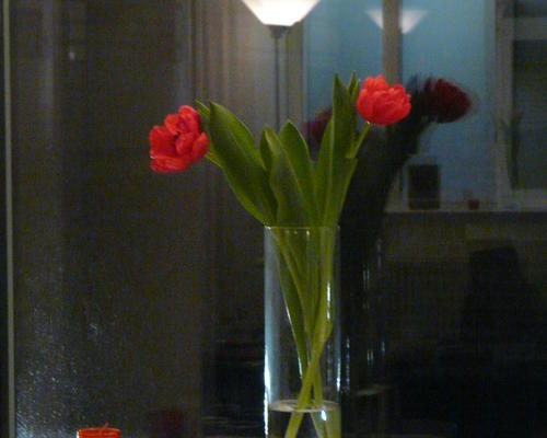 P1150914