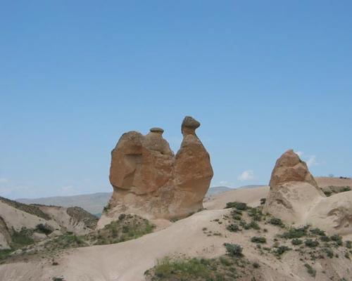 Cappadoce_chameau