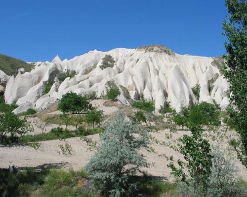 Cappadoce_31_vigne