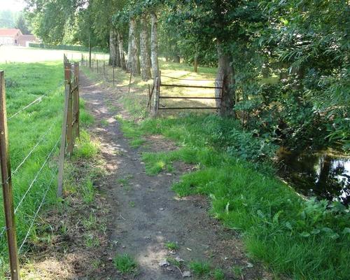 sentier