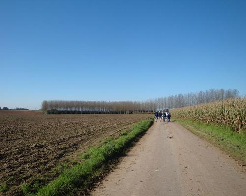 PV 3   entre neuville et romeries.JPG