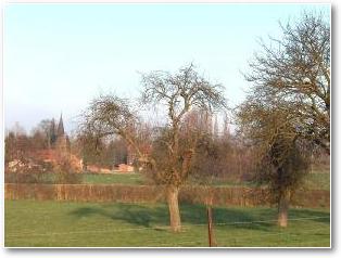romeries_300x748.jpg