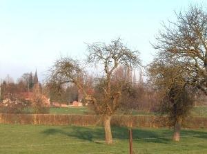 romeries_300x748.jpg
