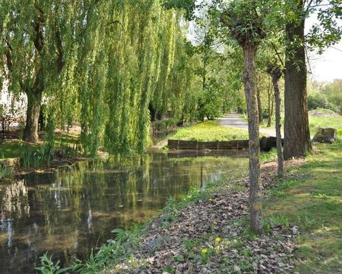 marais escaut.JPG