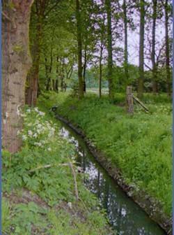 long de l'Escrebieux