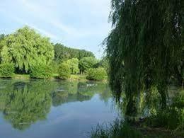 parc de Flers.jpg