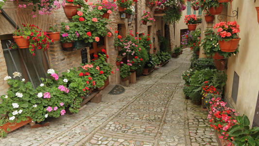 rue-fleurie-fotolia
