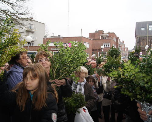 Images - Stald - Dimanche des Rameaux - 2013-03 -