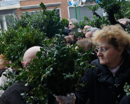 Images - Stald - Dimanche des Rameaux - 2013-03 -