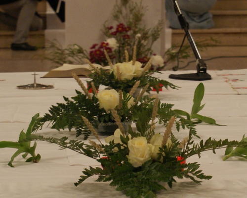 DSC01920