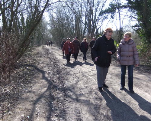 D'autres groupes suivent....