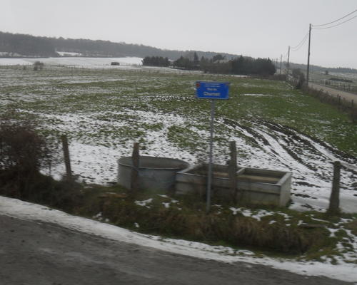 de la neige, encore toute fraîche ....