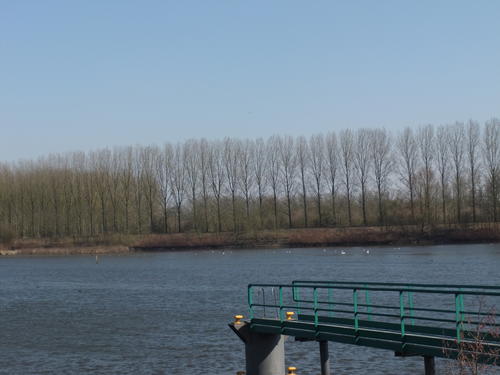 ... Un ciel...encore plus bleu!...dans l'eau de l'Escaut...