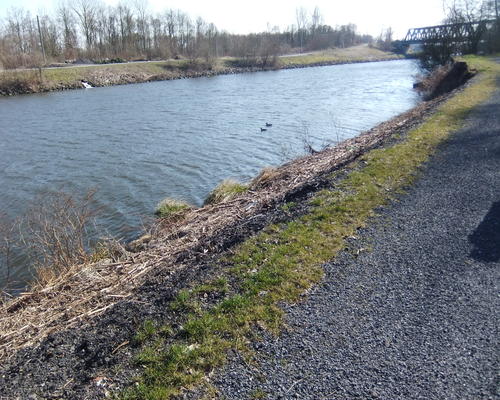 ENSEMBLE, aussi, dans la même direction, les marcheurs du CCFD, vers le pont d'Escautpont.