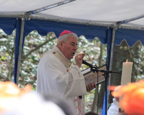 IMG_7400.JPG