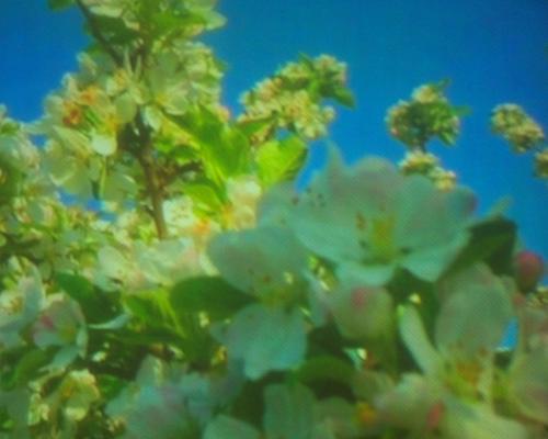 100_9081.JPG