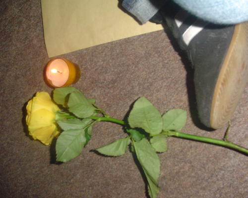 La bougie et la fleur