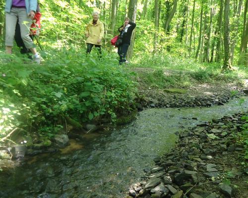 Ruisseau Watisart.JPG