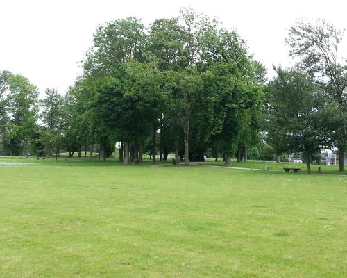 Petit Bois remparts (3)