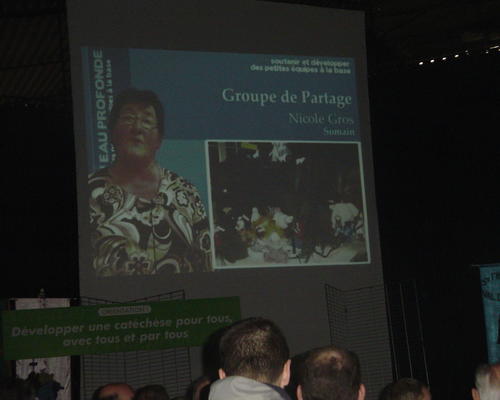 Nicole sur grand écran