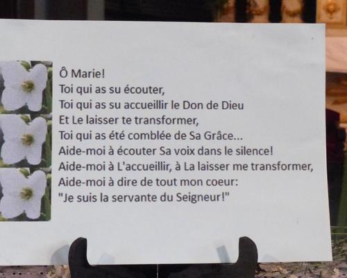 P1010310.JPG