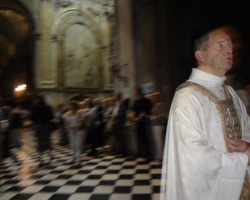 l'Abbé Xavier BRIS, vicaire général du diocèse 
