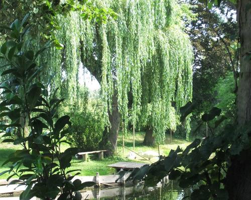 Prendre le temps d'admirer la beauté des jardins