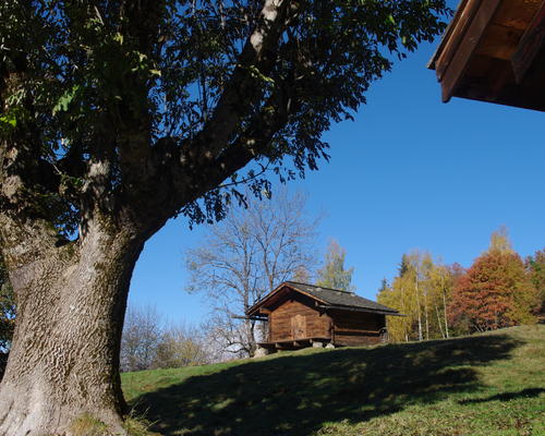 IMGP3281