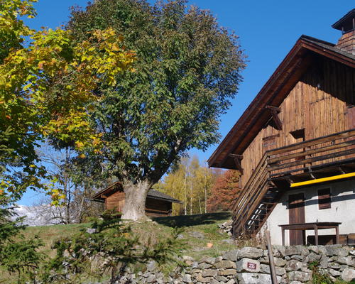 IMGP3282