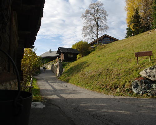IMGP3322