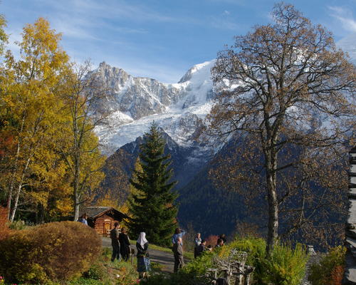 IMGP3334