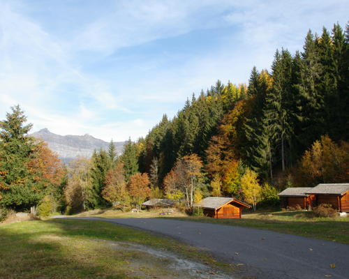 IMGP3360