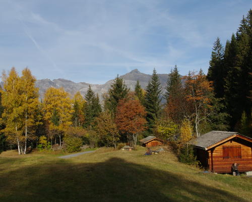 IMGP3361_