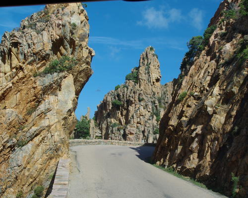 IMGP9708