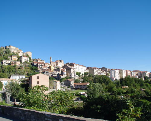 IMGP0260