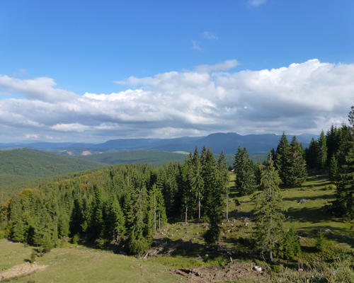 P1040904