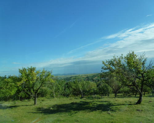 P1040832
