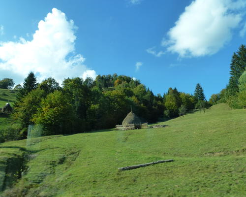 P1040906