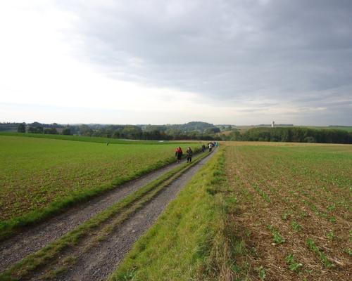 vallee de l'Escaut (2).JPG