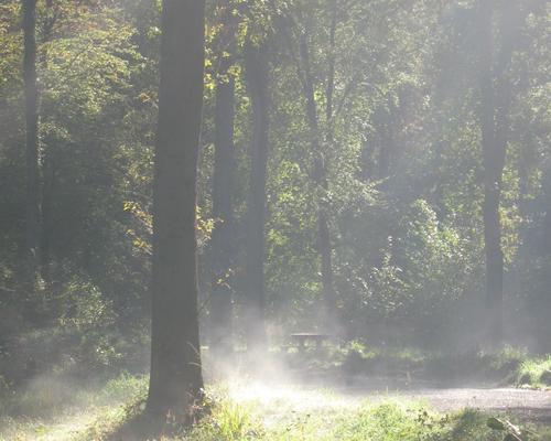 automne