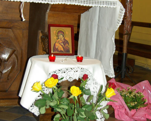 IMGP5584