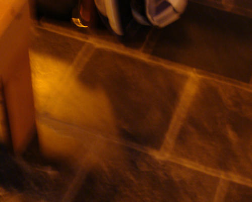 DSC00349