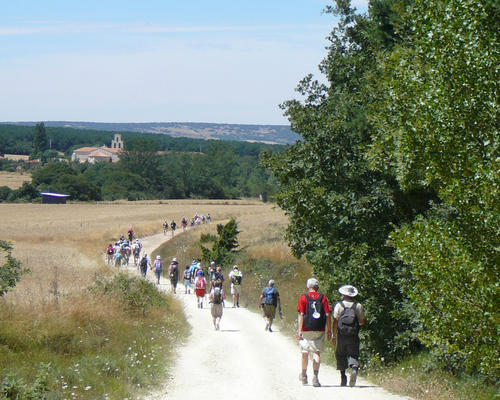 Compostelle pelerins sur chemin